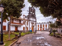 Firgas